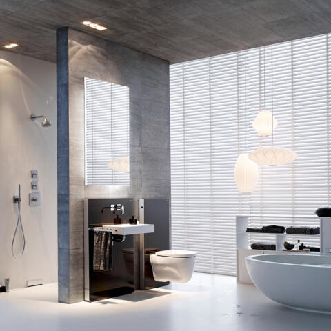 Geberit bath 26 monolith washbasin wc wall hung