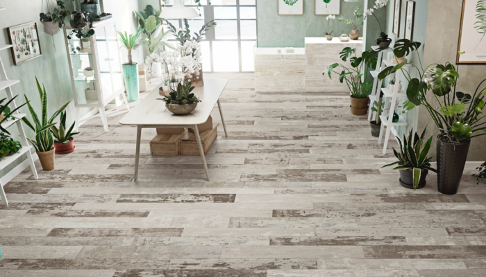 Darlun Home Design 11
